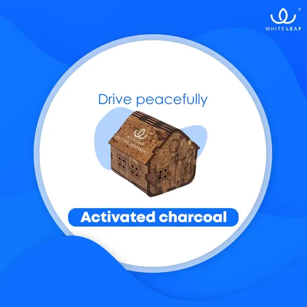 Activated_Coconut_Charcoal_Car_Air_Purifier_Deodorizer_Golden_Brown