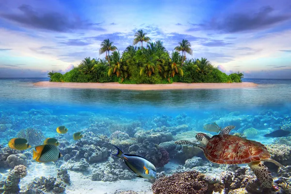 Tropical_Island_Underwater_Reef_Canvas_Wall_Art_Print