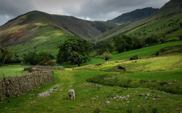 Green_Mountains_And_Landscape_Photography