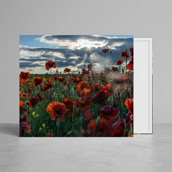 Red_Poppy_Field_Landscape_Wall_Art_Print