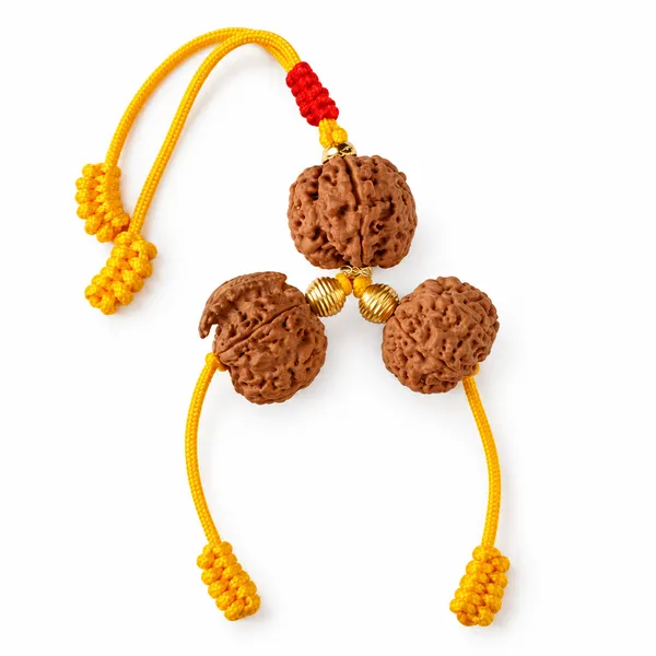 Laxmi_Ganesha_Rudraksha_Yantra