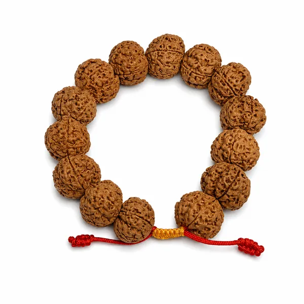 5_Mukhi_Rudraksha_Bracelet_Big_Beads_Drawstring
