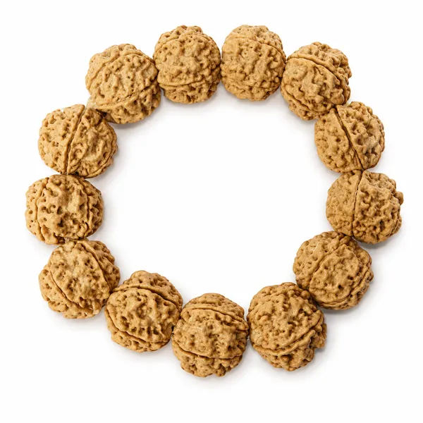 5_Mukhi_Rudraksha_Bracelet_Big_Beads_Elastic