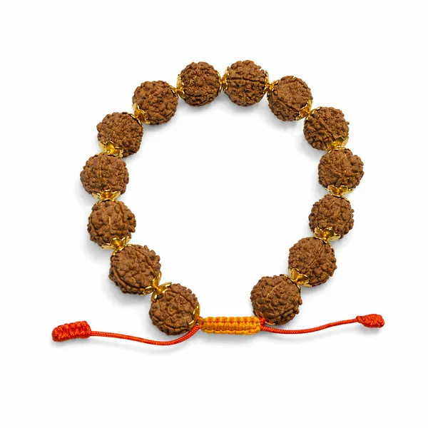 5_Mukhi_Rudraksha_Bracelet_13Mm_Premium
