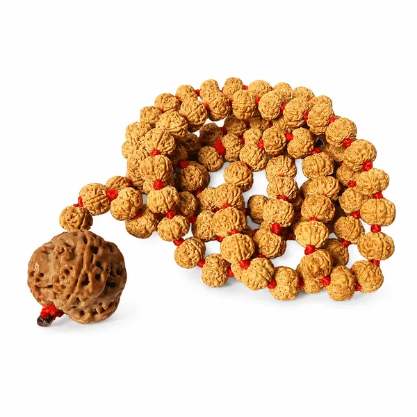 Chikni_Pathri_Rudraksha_Japa_Mala_With_Big_Bead
