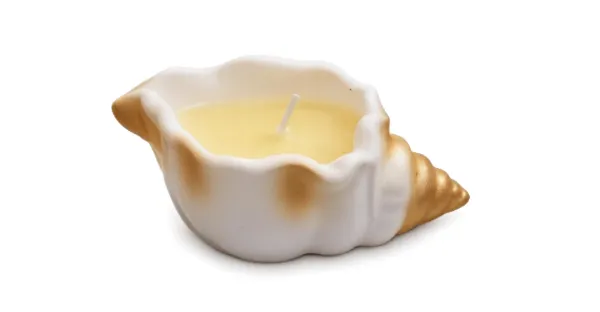 Golden_Seashell_Candle