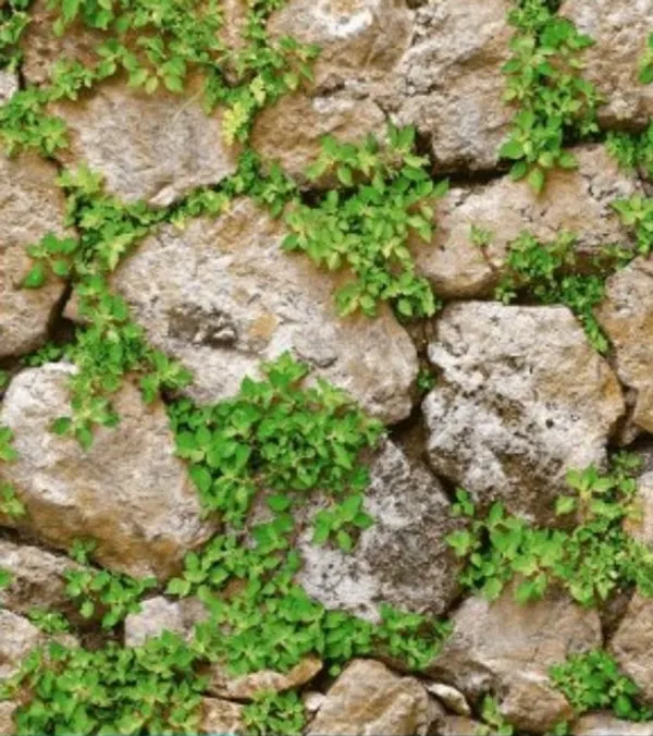 Artificial_Green_Moss_Stone_Decorative_Accent