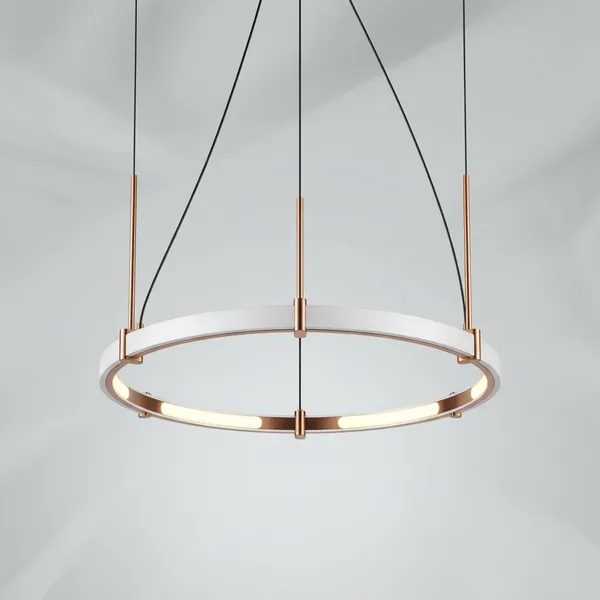 Circular_Ring_Minimalist_Metallic_Ceiling_Light
