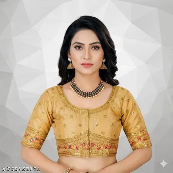 Silk_Embropidery_Work_Blouse_Design_For_Women