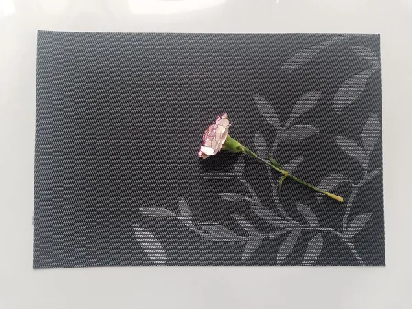 Dribble_PVC_Placemats_Set_of_4_|_Heat-Resistant,_Washable,_Waterproof_Table_Mats_|_Anti-Slip_Dining_Table_Placemats_for_Kitchen_&_Home_Decor_�_45x30cm,_Design_-_Night_Beauty
