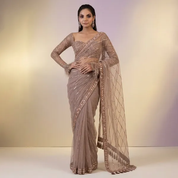 Net_Saree_With_Sequins_Dori_Zari_Work_And_Jhalar_Border_Default_Title