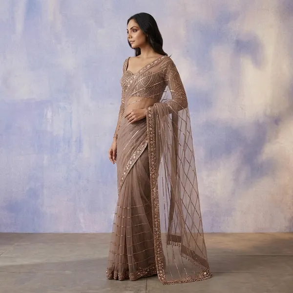 Net_Saree_With_Sequins_Dori_Zari_Work_And_Jhalar_Border_Default_Title