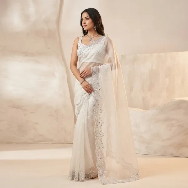 Super_Hit_Diamond_Panel_Saree_Rich_Tissue_Tweel_Net_White
