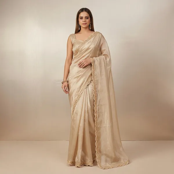 Premium_Tissue_Silk_Saree_With_Pearl_Dori_Golden_Lace_Border_Default_Title