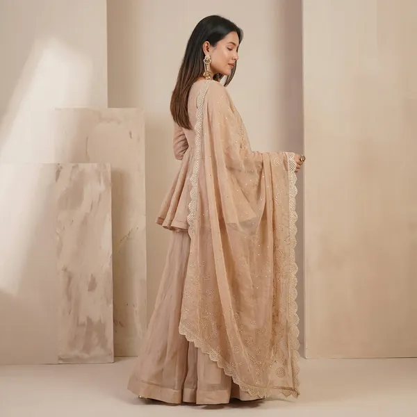 Traditional_Mukaish_Organza_Sharara_Set_Beige