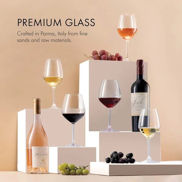 Paksh_Novelty_Lead_Free_Glass_Shatter_Resistant_Italian_White_Wine_Glasses_350ml_Clear_Set_Of_8