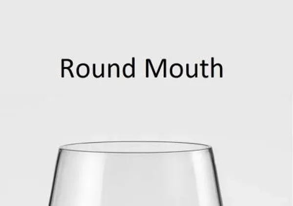 Vilon_Italian_Premium_Barrel_Wine_And_Whisky_Glass_300_Ml_Tumbler_Scotch_Glass_2