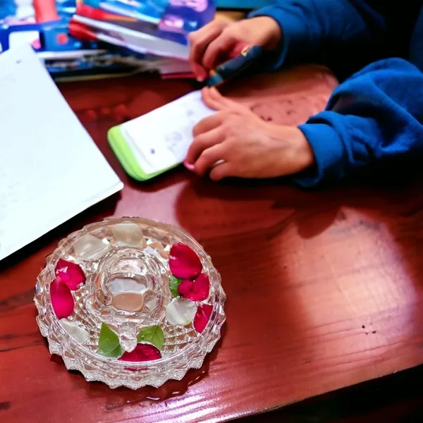 Vilon_Vastu_Feng_Shui_Crystal_Turtle_On_Glass_Plate_Clear_Crystal_Tortoise_For_Good_Luck_Prosperity_Home_Harmony