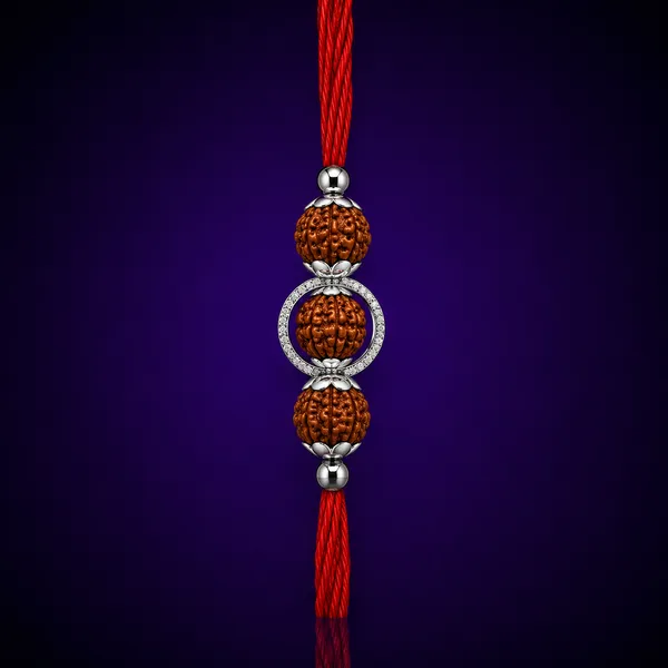Temple_Tales_Rudraksha_Shakti_Silver_Rudraksha_Rakhi_for_Raksha_Bandhan