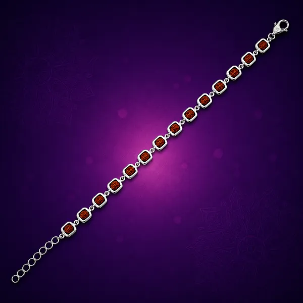 Rudranath_Square_Covered_Rudraksh_Bracelet_for_Men_&_Women_|_Temple_Tales