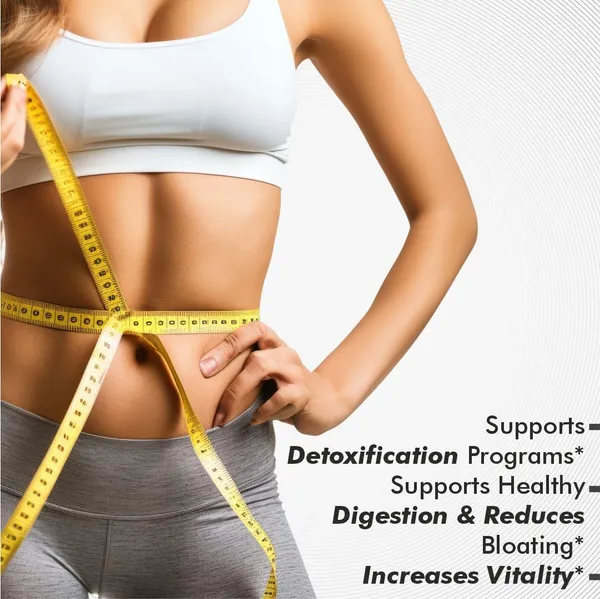 Vitaminnica_Vita_Shred_Fat_Burner_Green_Tea_L-Carnitine_Capsules