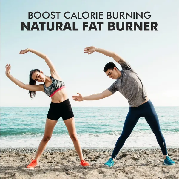 Vitaminnica_Vita_Shred_Fat_Burner_Green_Tea_L-Carnitine_Capsules