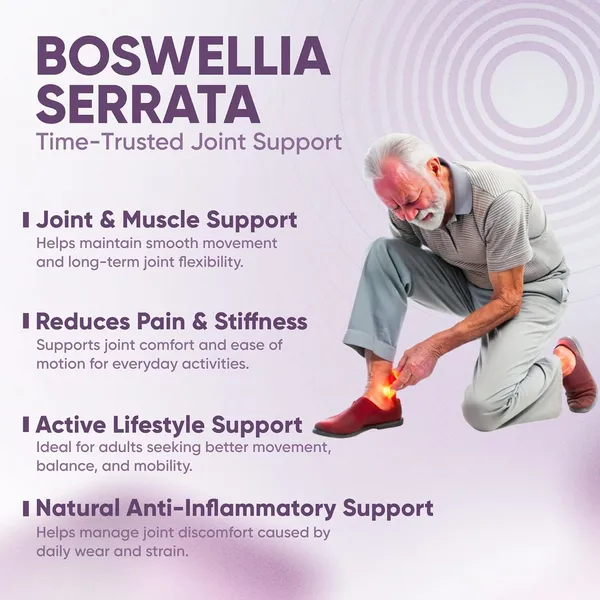 Vitaminnica_Boswellia_Serrata_Extract_Joint_Support_Capsules