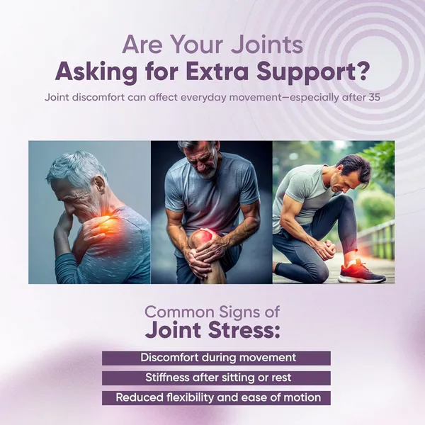 Vitaminnica_Boswellia_Serrata_Extract_Joint_Support_Capsules