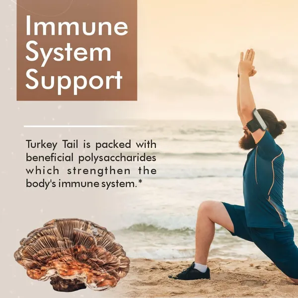 Vitaminnica_Turkey_Tail_Mushroom_Extract_Immunity_Capsules