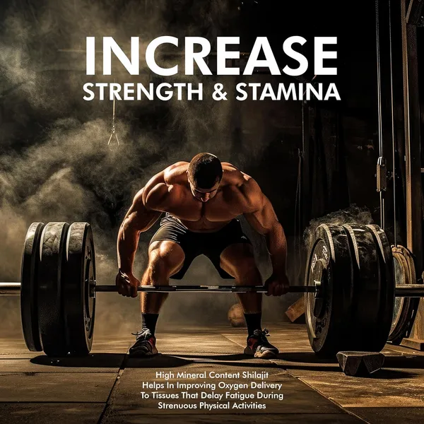 Vitaminnica_Shilajit_Resin_Fulvic_Acid_Mineral_Supplement