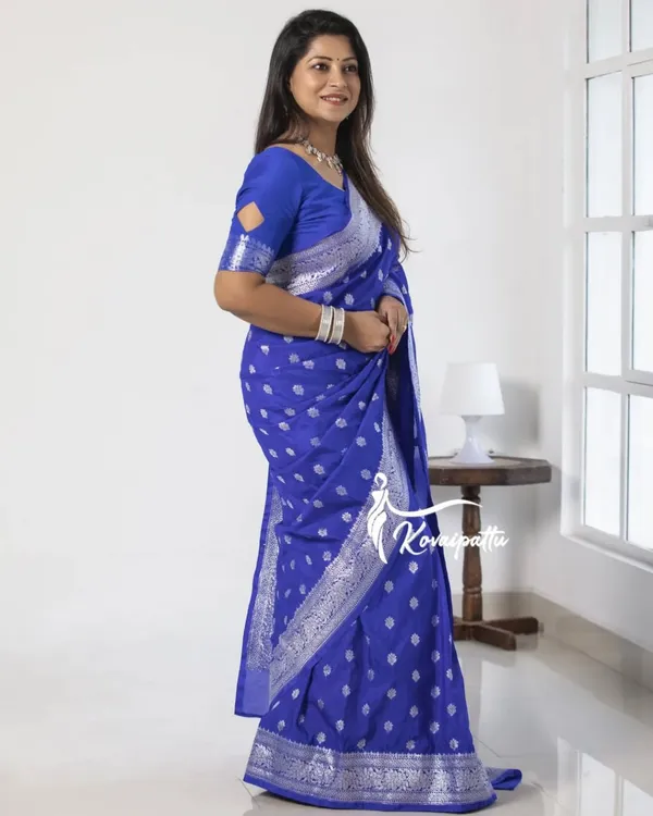 Premium_Festive_Wear_Saree