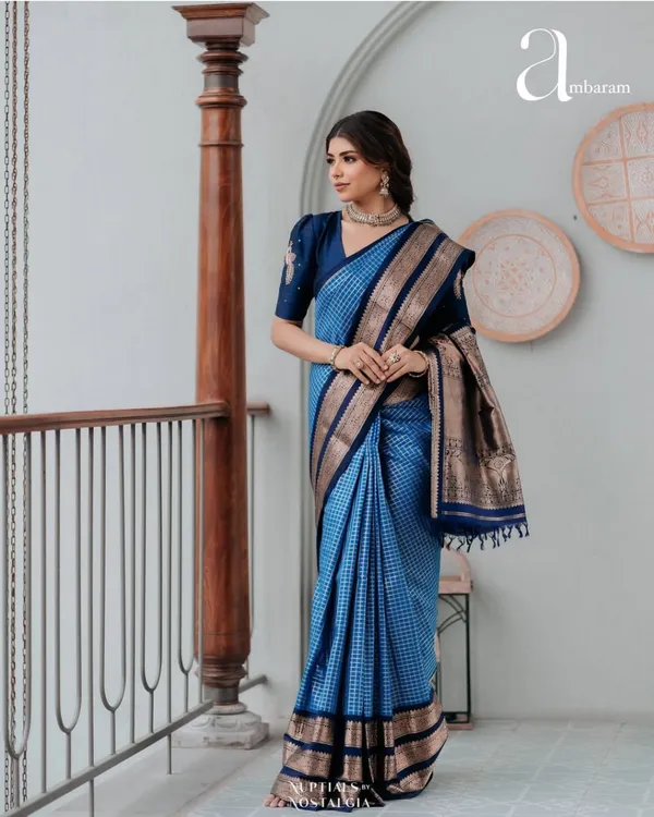 The_Royal_Marigold_&_Crimson_Banarasi_Saree