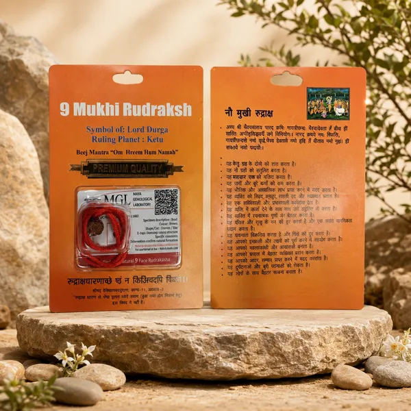 Indonesian_9_Mukhi_Rudraksha