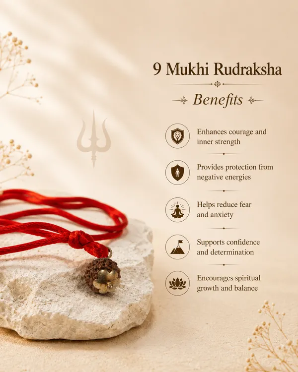 Indonesian_9_Mukhi_Rudraksha