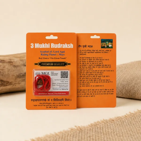 3_Mukhi_(North_India)