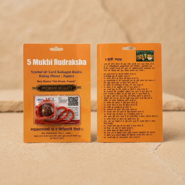 Nepali_5_Mukhi_Rudraksha