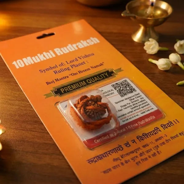 Indonesian_10_Mukhi_Rudraksha