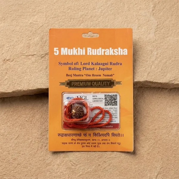 Nepali_5_Mukhi_Rudraksha