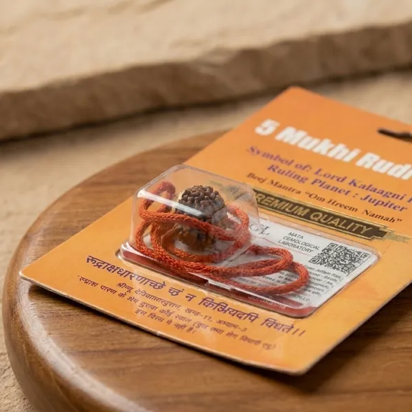 Nepali_5_Mukhi_Rudraksha