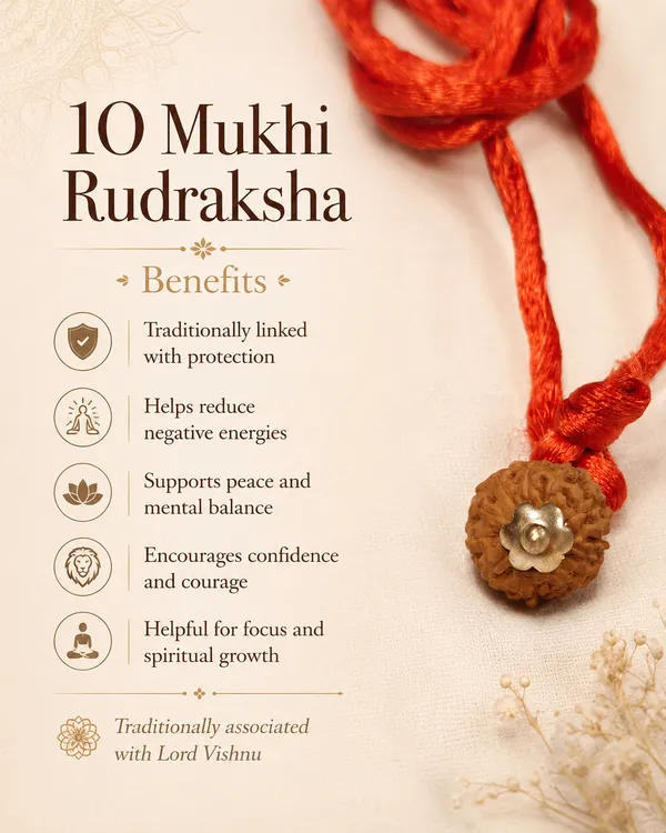 Indonesian_10_Mukhi_Rudraksha