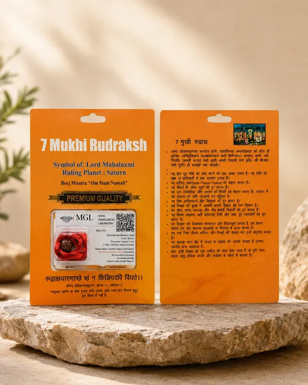 Indonesian_7_Mukhi_Rudraksha