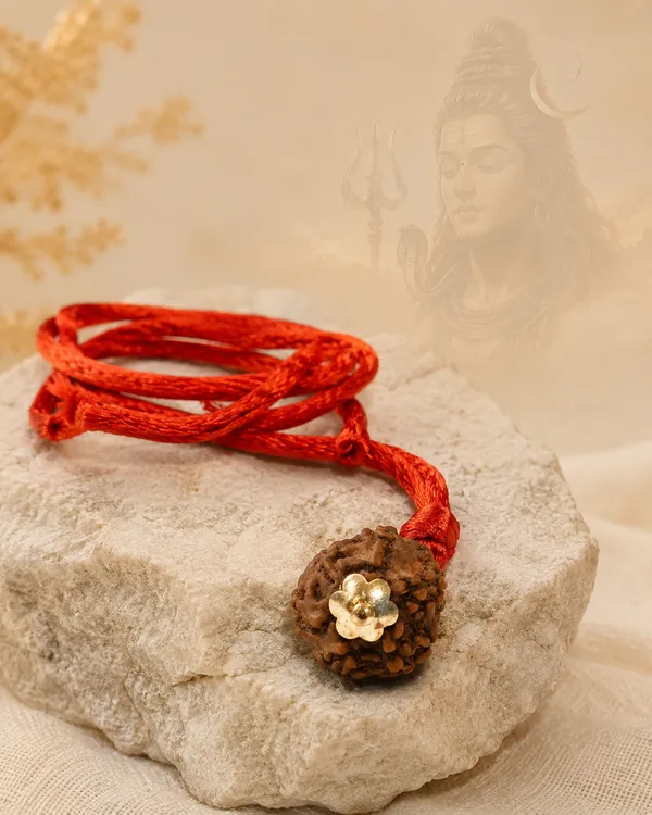 Indonesian_7_Mukhi_Rudraksha