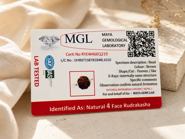 Indonesian_4_Mukhi_Rudraksha