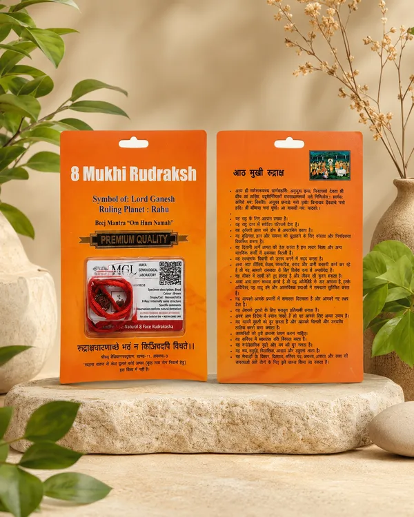 Indonesian_8_Mukhi_Rudraksha