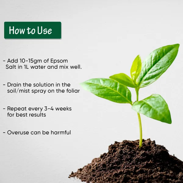 Epsom_Salt_For_Plants