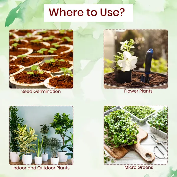 Loose_Coco_Peat_Plant_Medium