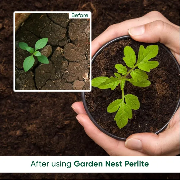 Perlite_Soil_Conditioner