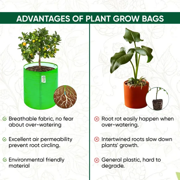 Hdpe_Circular_Grow_Bag_Pack_Of_10