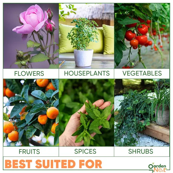 Neem_Oil_Concentrate_For_Plants