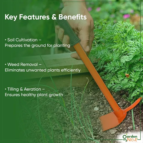 Garden_Hoe_With_Prong